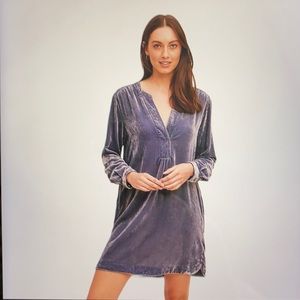 Anthropologie Melody Velvet Dress